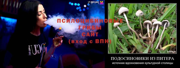 дурь Дмитровск