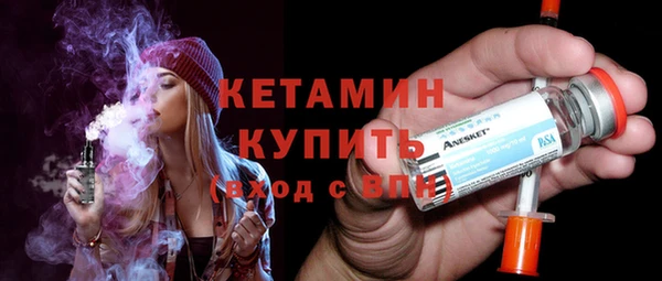 СК Ельня