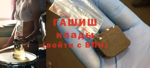 СК Ельня