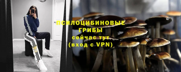 СК Ельня