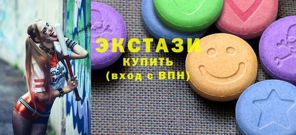 СК Ельня