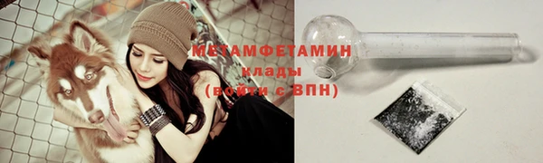 СК Ельня