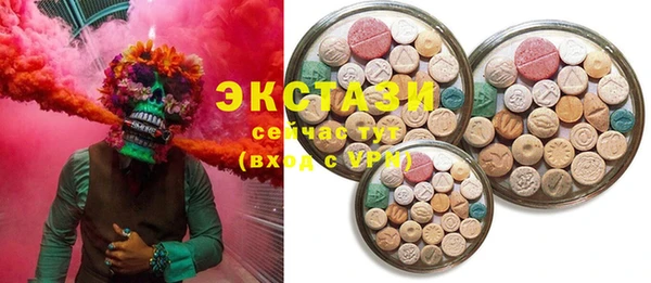 СК Ельня