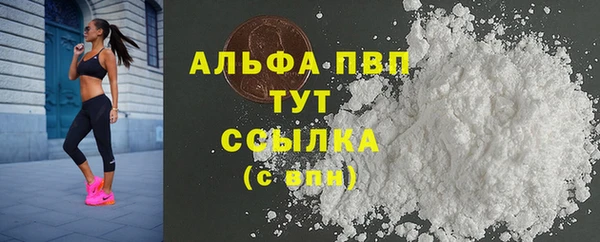 стаф Елабуга