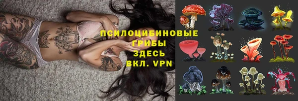 СК Ельня