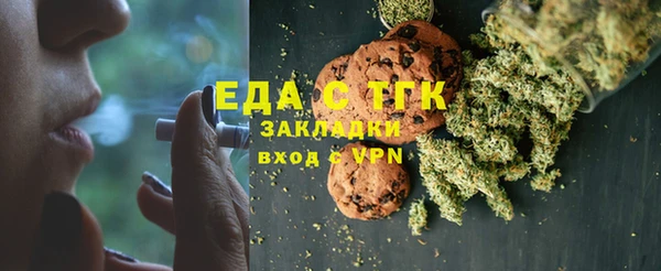 СК Ельня
