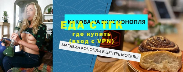 СК Ельня