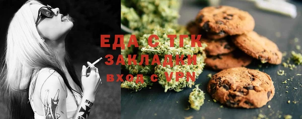 СК Ельня