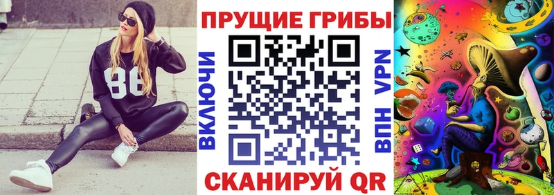 Псилоцибиновые грибы GOLDEN TEACHER  Купить где  Нерюнгри 